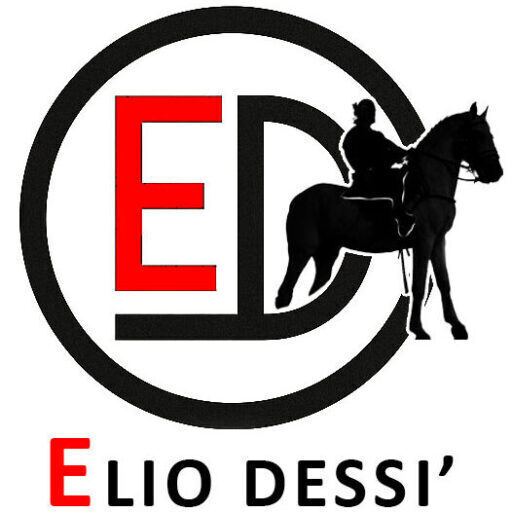 Presentazione del libro "La fine dei Shardana"Elio Dessì
