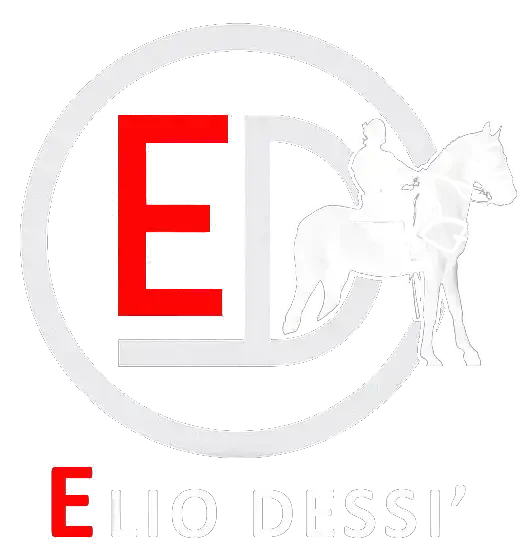 Presentazione del libro "La fine dei Shardana"Elio Dessì